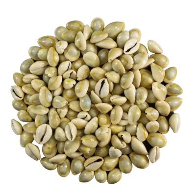 MoneyCowrie MoneyCowrie