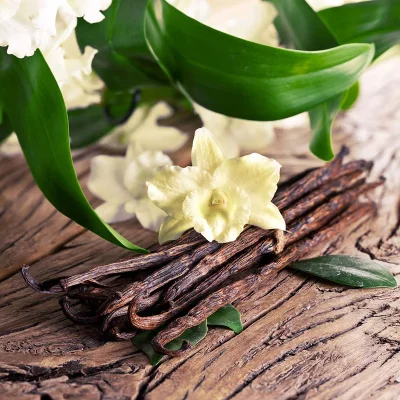 vanilla-beans-supplier-indonesia-indo-spice.jpg vanilla-beans-supplier-indonesia-indo-spice.jpg